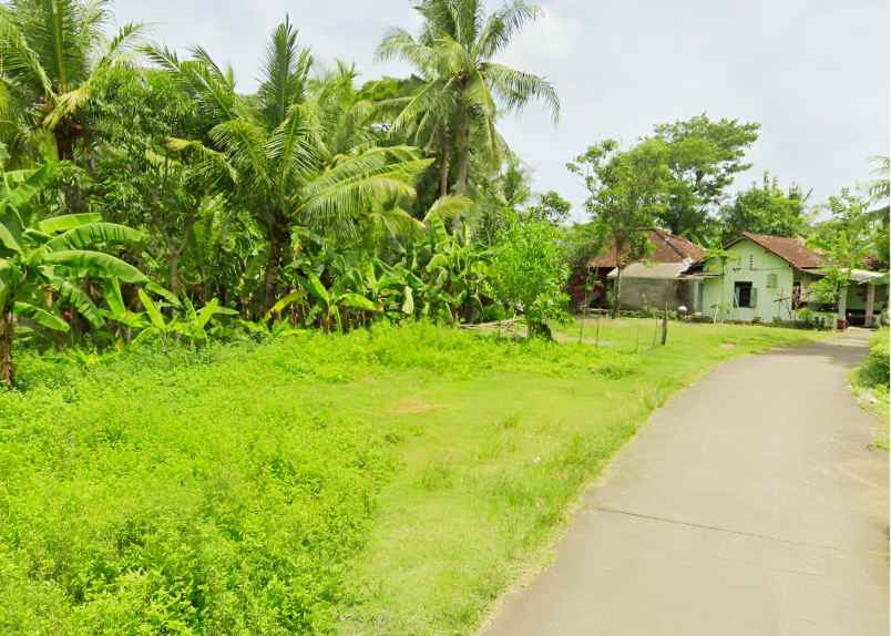 dekat kampus uad 6 wates