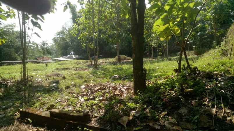 dijual cepat tanah maguwoharjo depok sleman