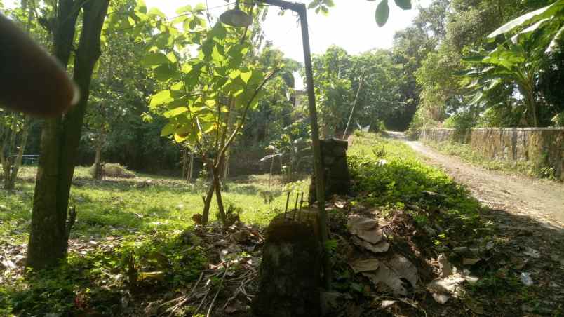 dijual cepat tanah maguwoharjo depok sleman