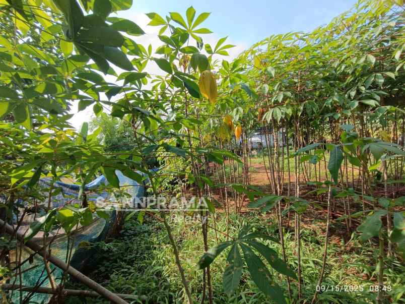 dijual kavling di grogol limo depok