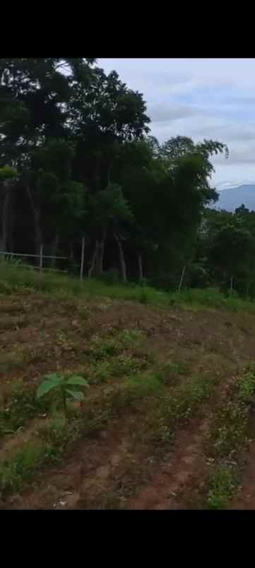 dijual murah tanah shm sayap tol soreang kab bandung