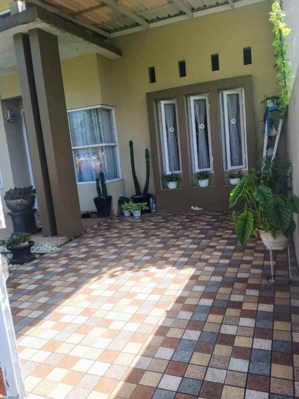 dijual rumah ciomas bogor