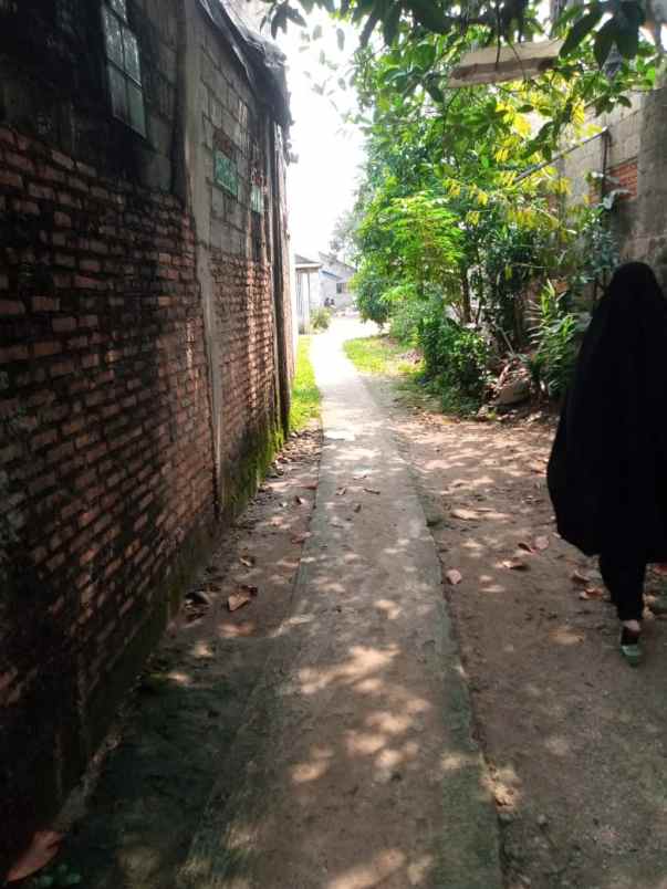 dijual rumah dijual rumah kontrakan di