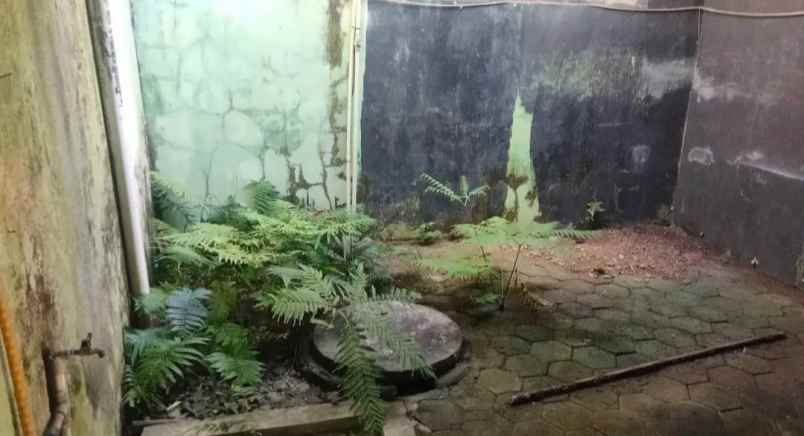 dijual rumah kasihan