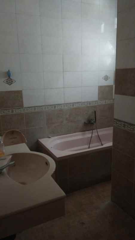 dijual rumah rawa buntu serpong south