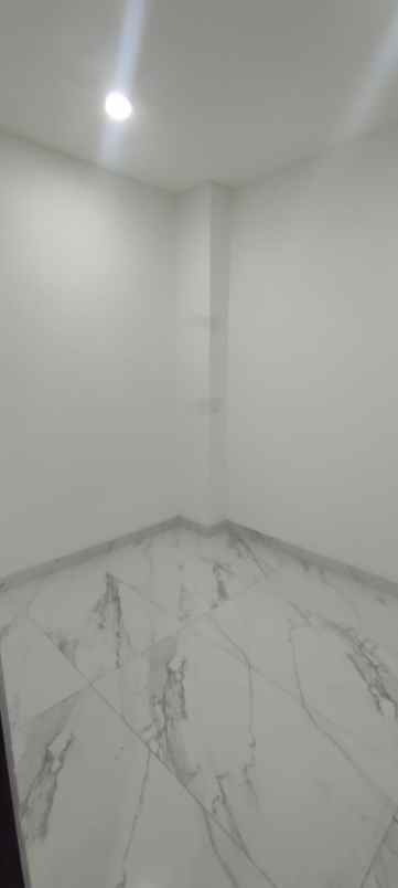 dijual rumah taman palem lestari