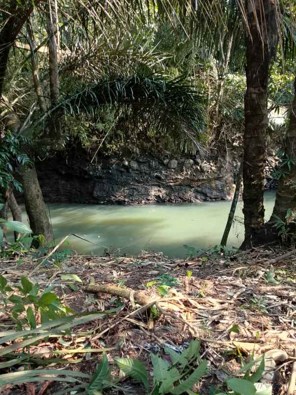dijual tanah banjar dinas munduk desa