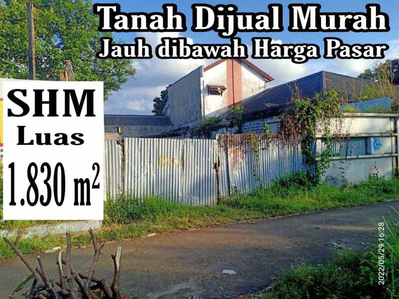 dijual tanah baranangsiang bogor