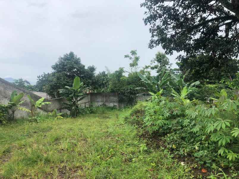 dijual tanah baranangsiang bogor