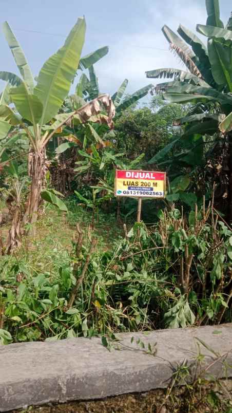 dijual tanah belakang kampus untirta