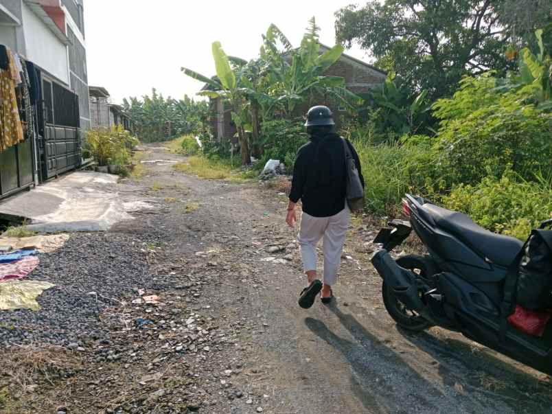 dijual tanah belakang terminal terboyo