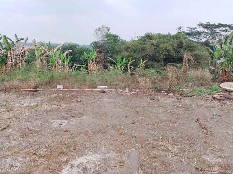 dijual tanah cisonggom bawah kel