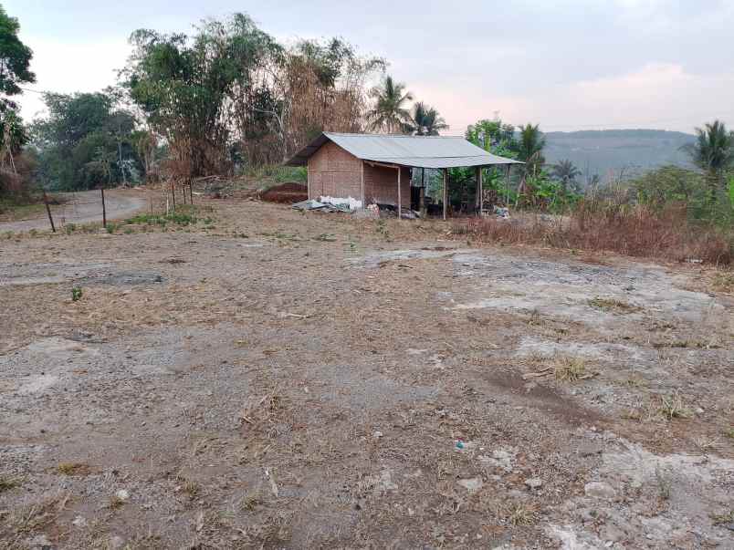 dijual tanah cisonggom bawah kel