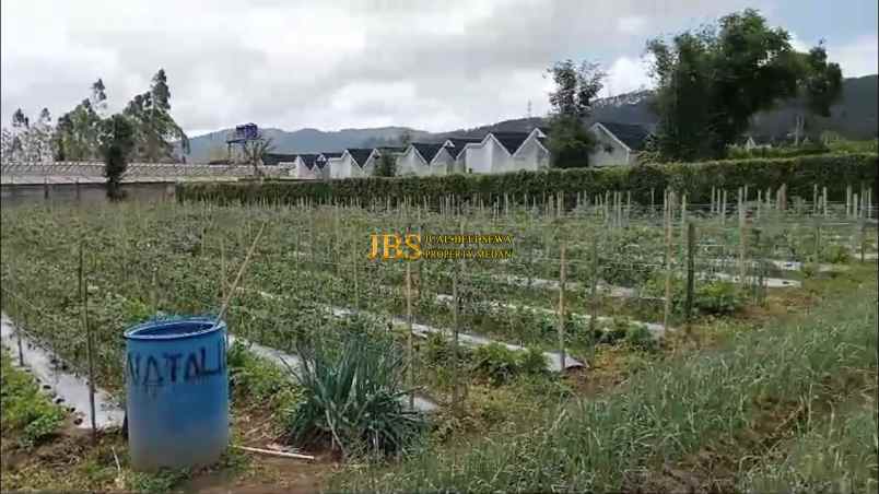 dijual tanah daerah karo jalan kebun bunga dolat rayat