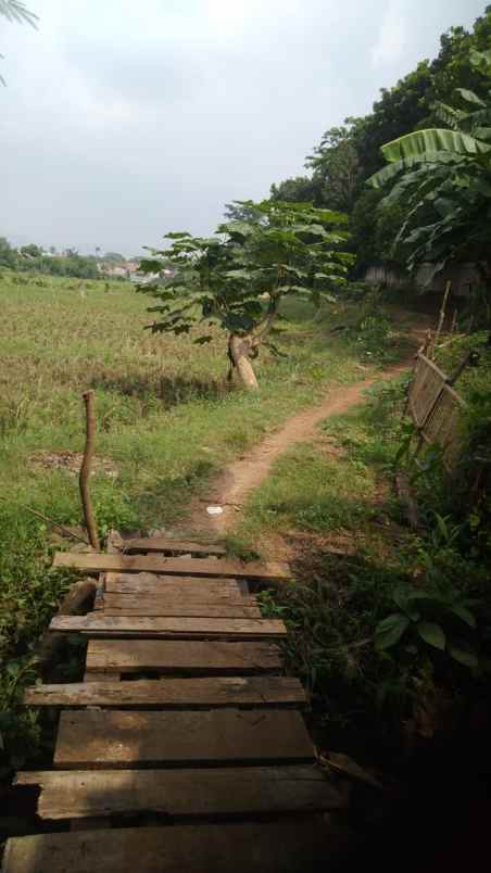 dijual tanah desa cimelang kecamatan