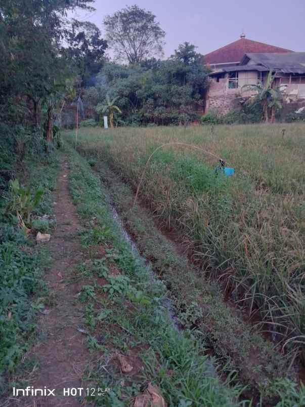 dijual tanah desa cimelang kecamatan