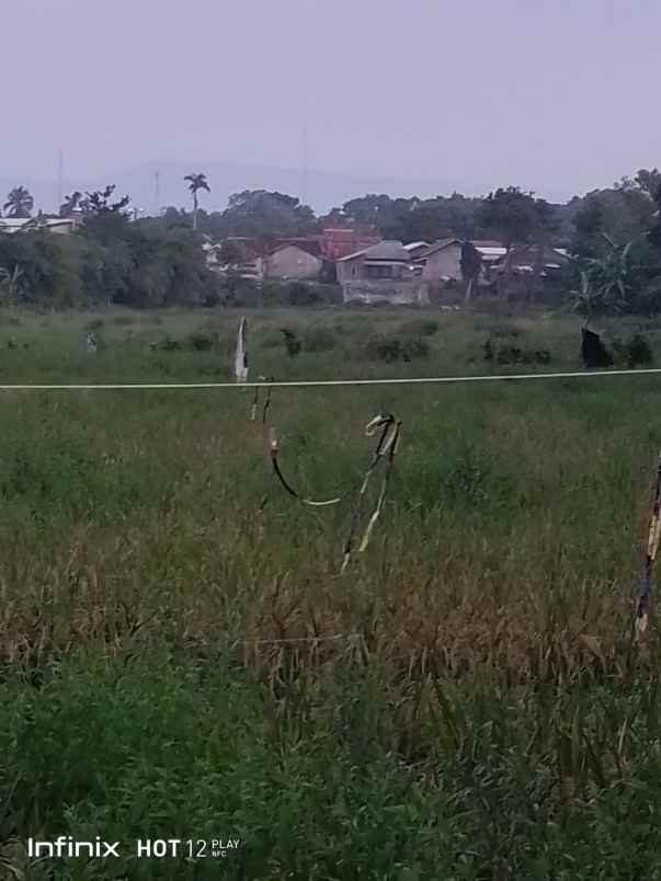 dijual tanah desa cimelang kecamatan