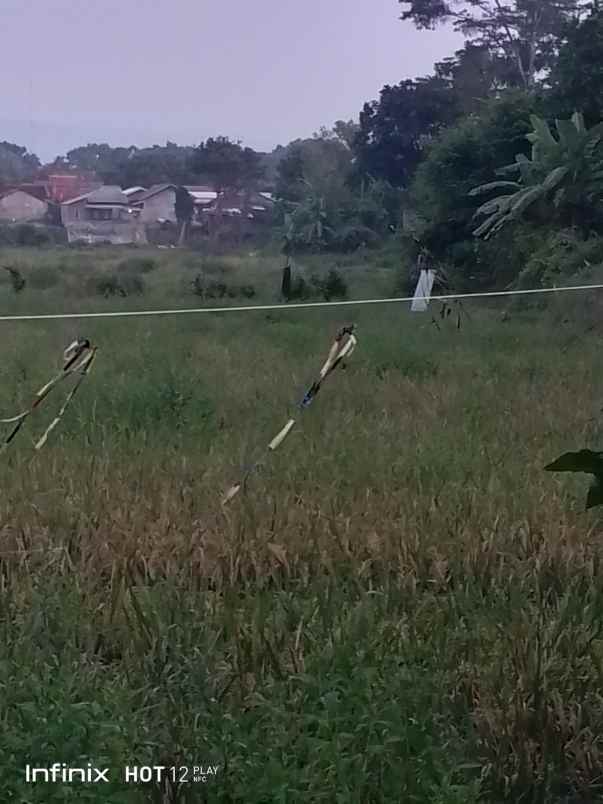 dijual tanah desa cimelang kecamatan