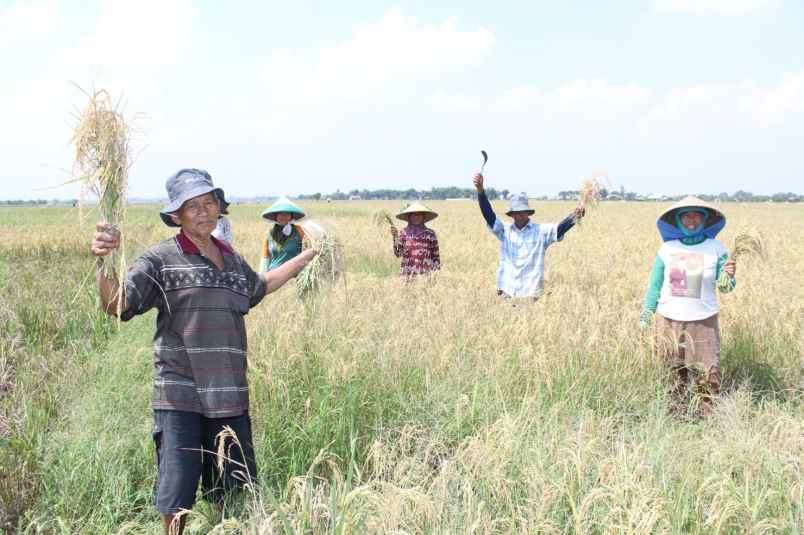 dijual tanah desa suka asih cikarang