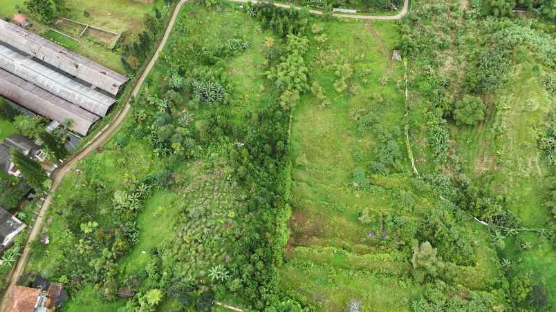 dijual tanah desa sukajadi