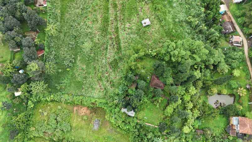 dijual tanah desa sukajadi