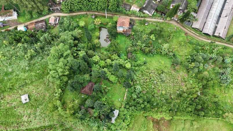 dijual tanah desa sukajadi