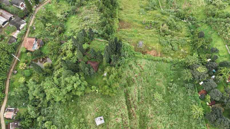 dijual tanah desa sukajadi