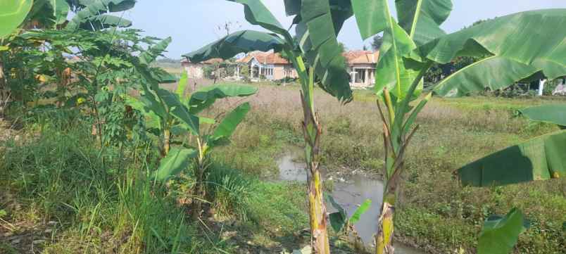 dijual tanah di jalan raya gempol palimanan cirebon