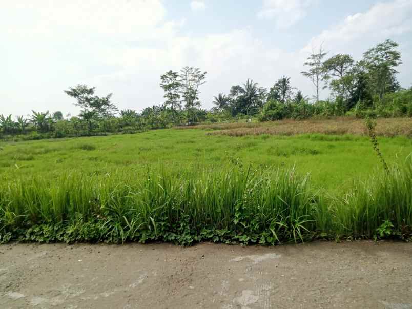 dijual tanah dijual tanah di natah