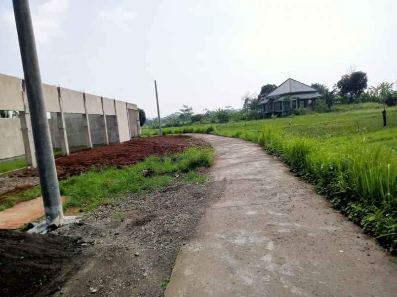 dijual tanah dijual tanah di natah