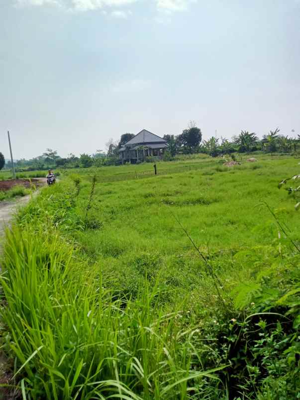 dijual tanah dijual tanah di natah