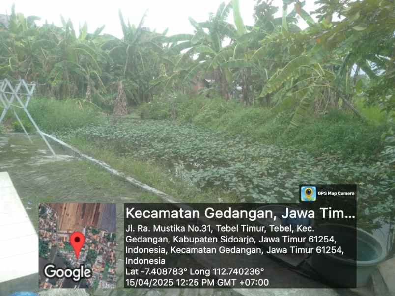 dijual tanah dijual tanah di tebel