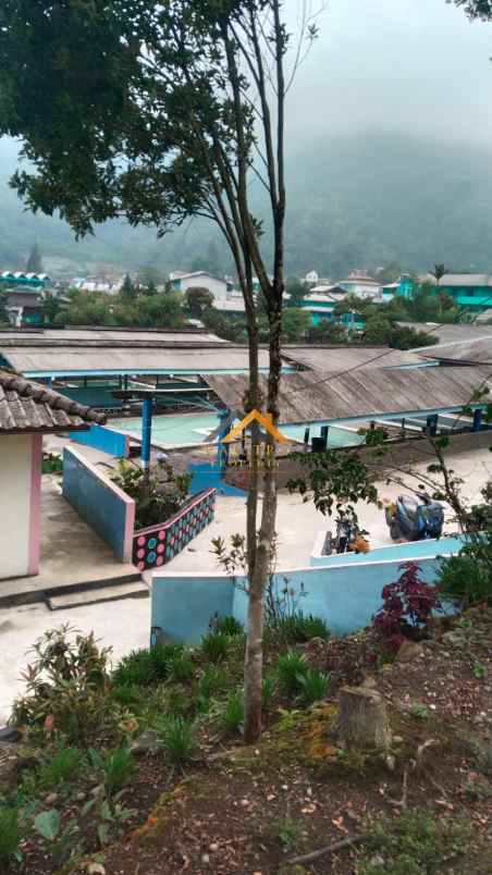 dijual tanah doulu berastagi rajaberneh