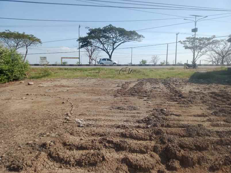 dijual tanah jalan pantura kandanghaur