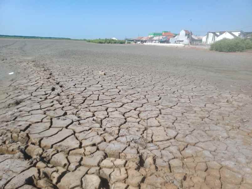 dijual tanah jalan pantura kandanghaur