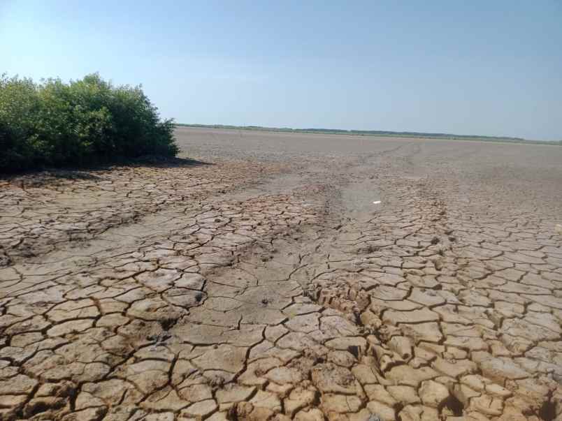 dijual tanah jalan pantura kandanghaur