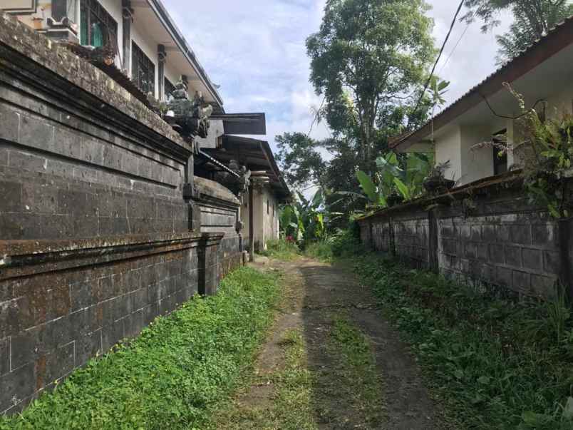 dijual tanah jalan raya payangan