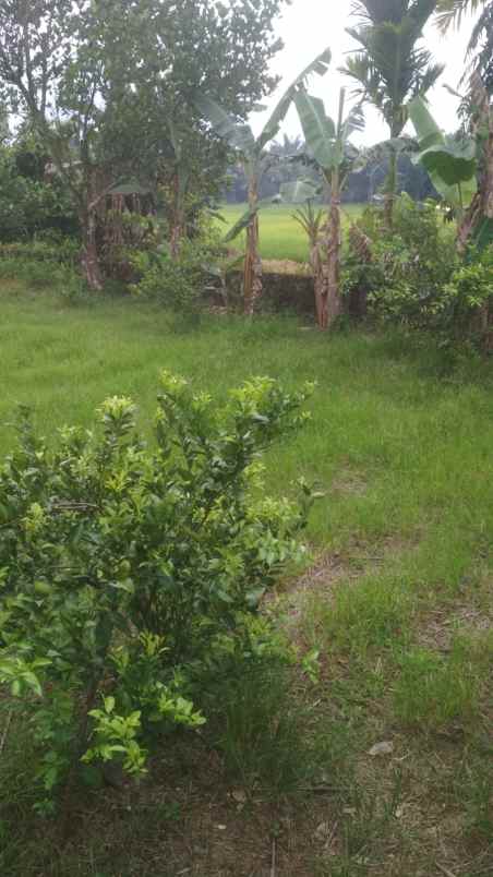 dijual tanah jl bypass padang