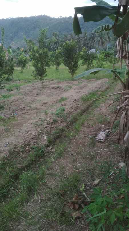 dijual tanah jl bypass padang