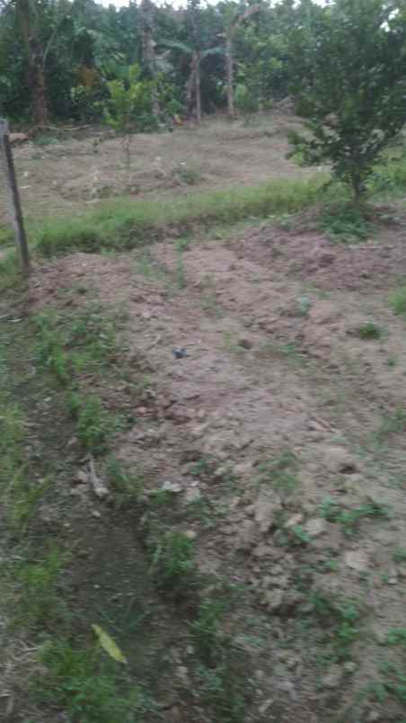 dijual tanah jl bypass padang