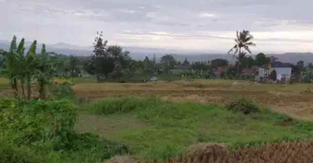 dijual tanah jl cijulang sukakarya