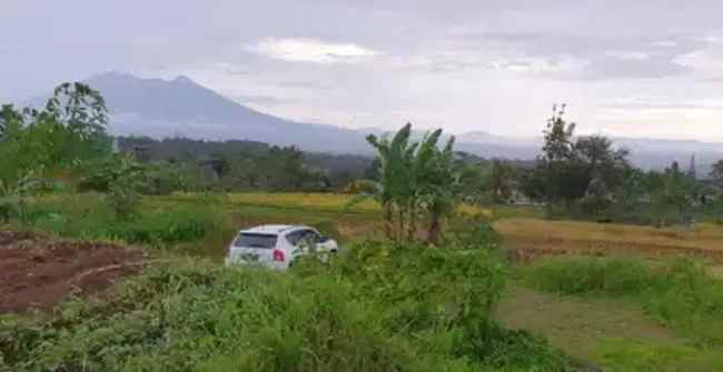 dijual tanah jl cijulang sukakarya