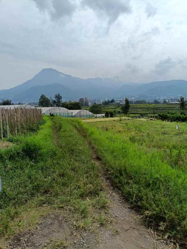 dijual tanah jl metro