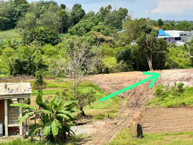 dijual tanah jl persatuan rt 30