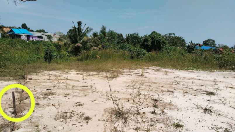 dijual tanah jl persatuan rt 30