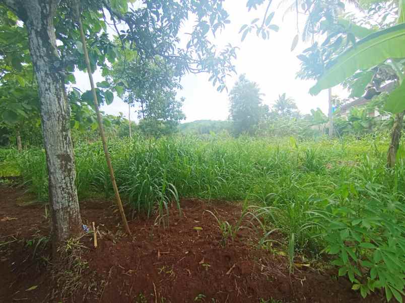 dijual tanah jl raya baturetno