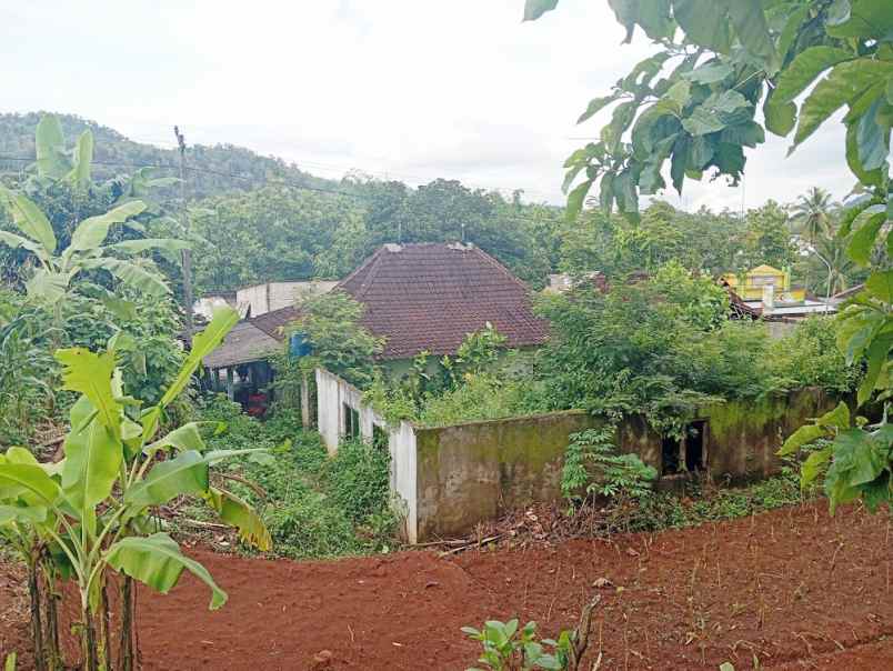 dijual tanah jl raya baturetno