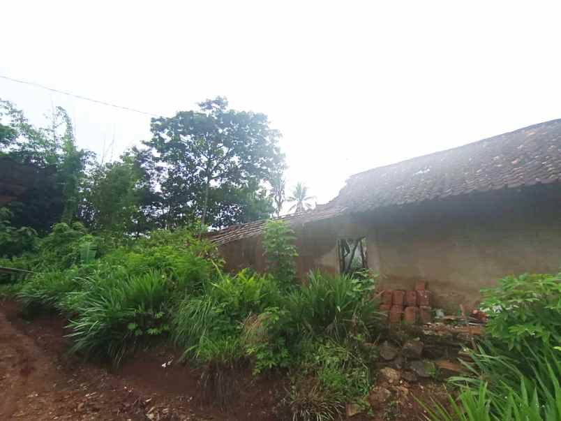 dijual tanah jl raya baturetno