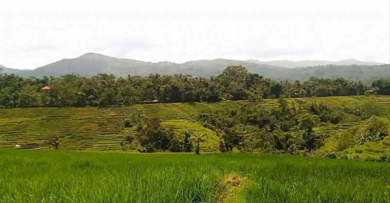 dijual tanah jl raya cicalengka nagreg