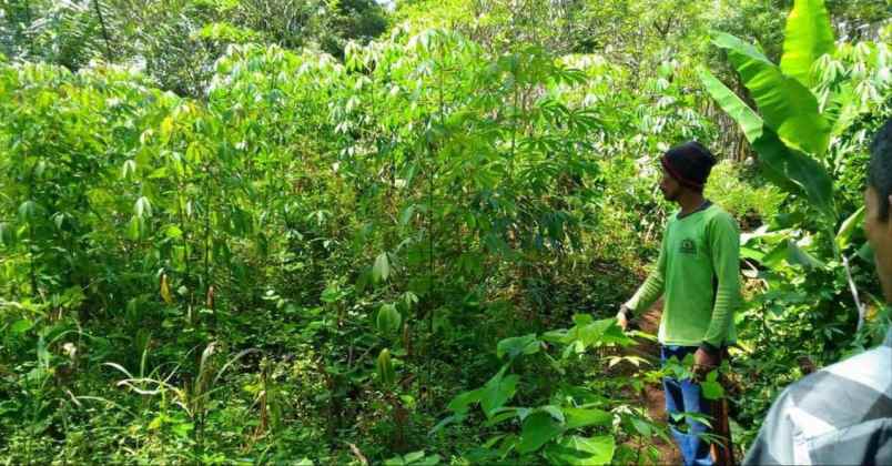 dijual tanah jl raya cicalengka nagreg